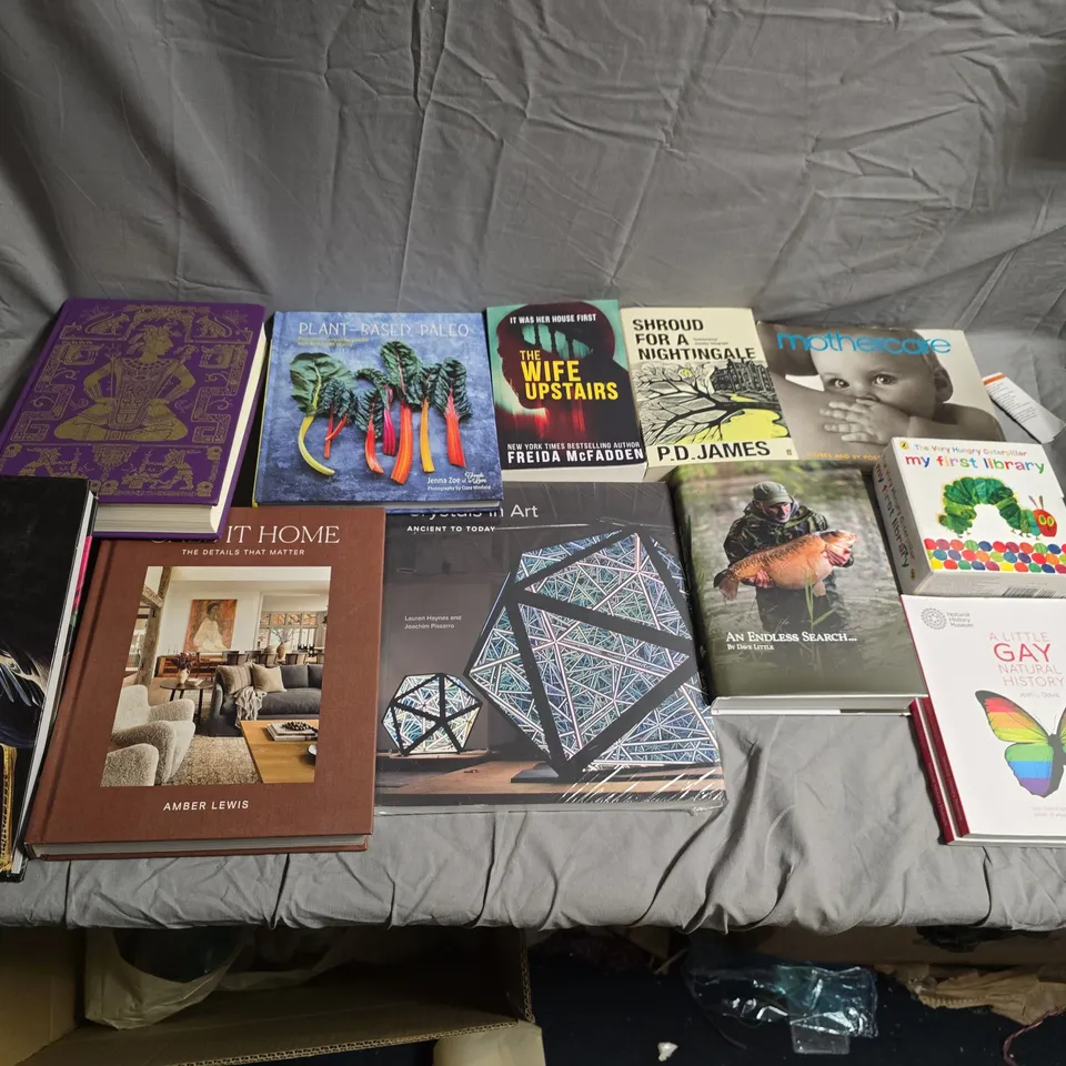 ASSORTED BOOKS LOT – MIX OF NON-FICTION & FICTION TITLES