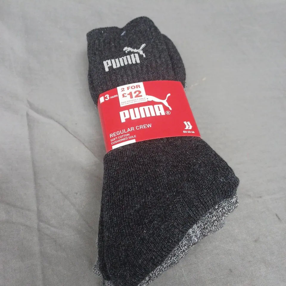 PACK OF 3 REGULAR CREW PUMA SOCKS 