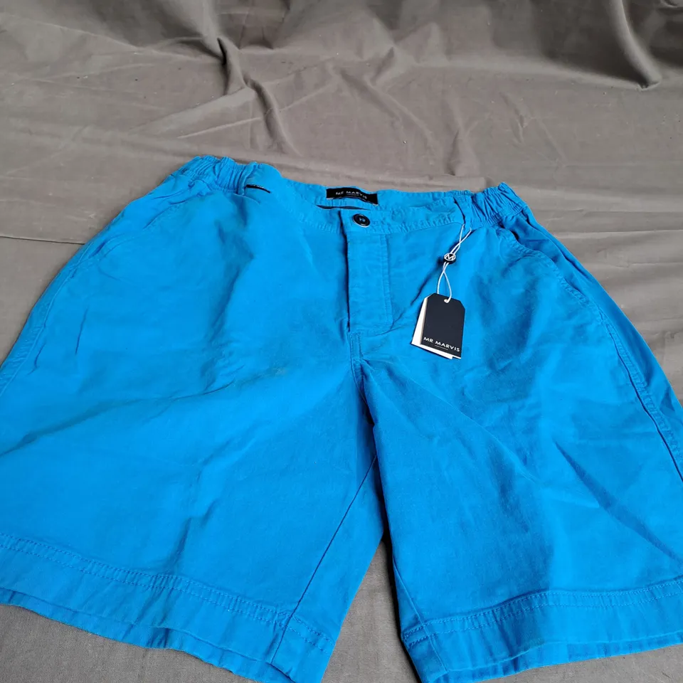 MR MARVIS THE ORIGINAL SHORTS SIZE 34 L 