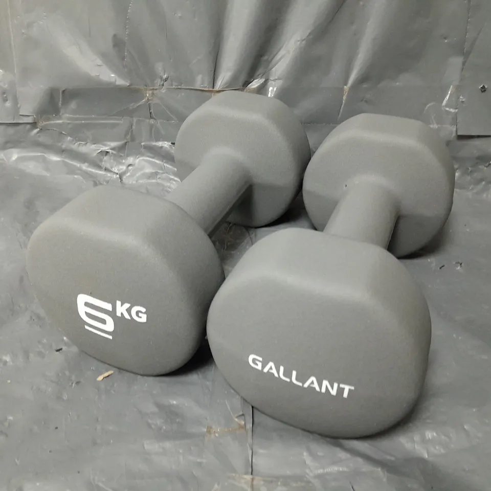 PAIR OF GALLANT 6kg DUMBBELLS - COLLECTION ONLY