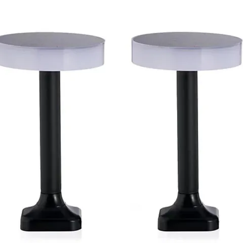 MY GARDEN STORIES LUMINOUS SET OF 2 CONTEMPORARY SOLAR DISC LIGHTS