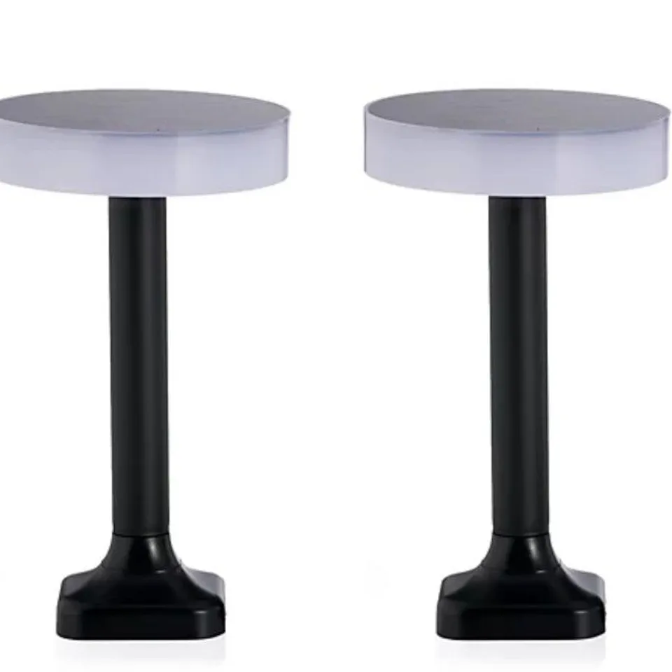 MY GARDEN STORIES LUMINOUS SET OF 2 CONTEMPORARY SOLAR DISC LIGHTS