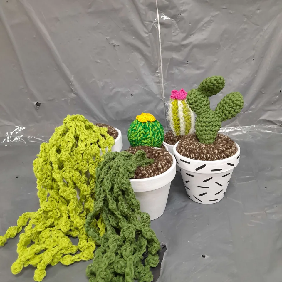 LOT OF 6 KNITTED PLANT ORNAMENTS 