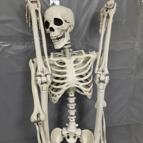 PLASTIC HALLOWEEN SKELETON