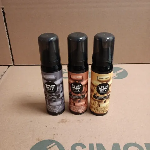 APPROXIMATELY 22 X ASSORTED MATRIX COLOR BLOW DRY HAIR CARE PRODUCTS TO INCLUDE TITANIUM SILVER, GOLDEN BLONDE ETC