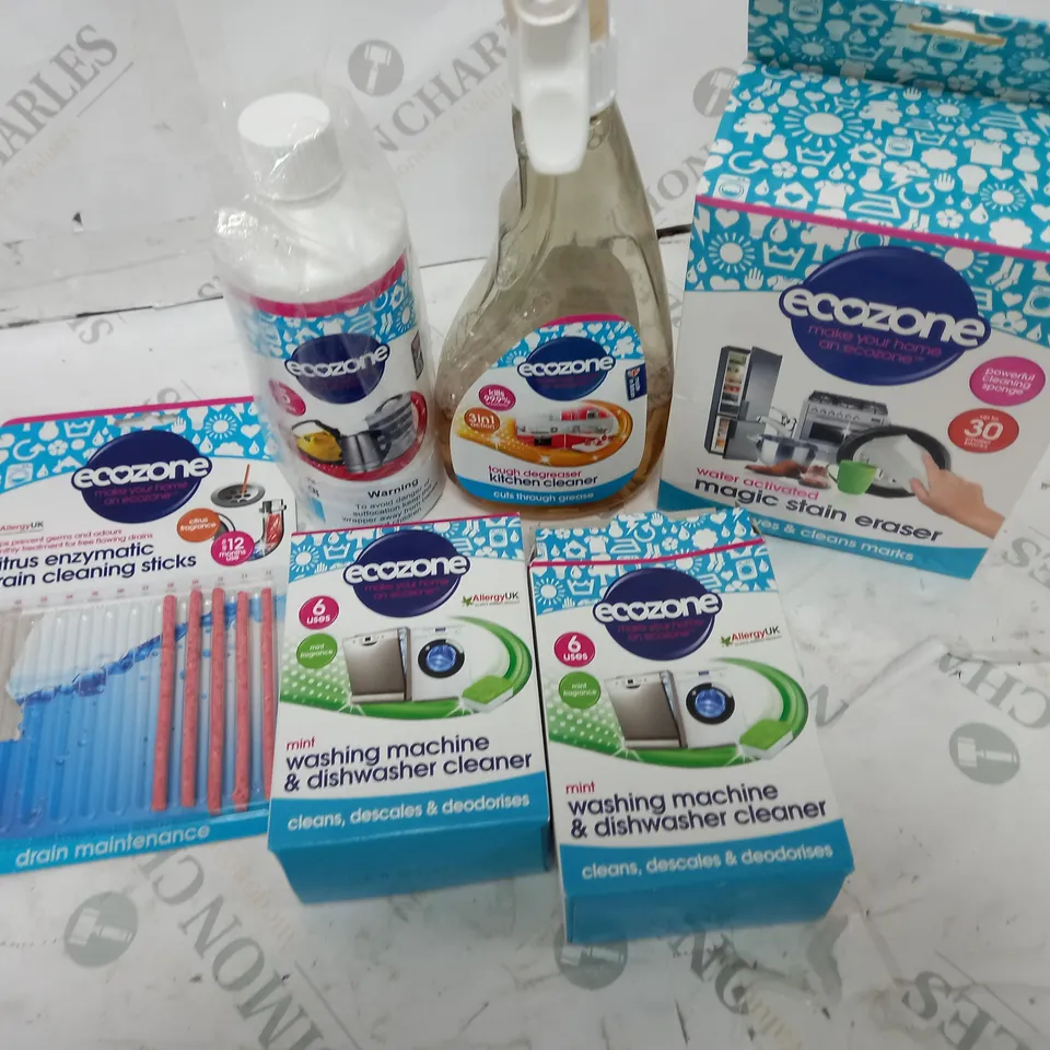 ECOZONE HOME CLEANING & DESCALING KIT