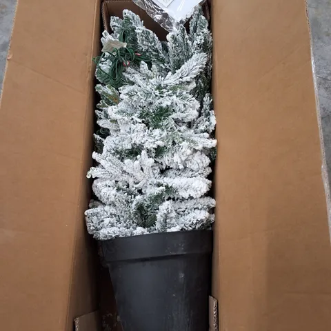 BOXED PRE-LIT SEASONAL TREE WITH FROSTING IN POT