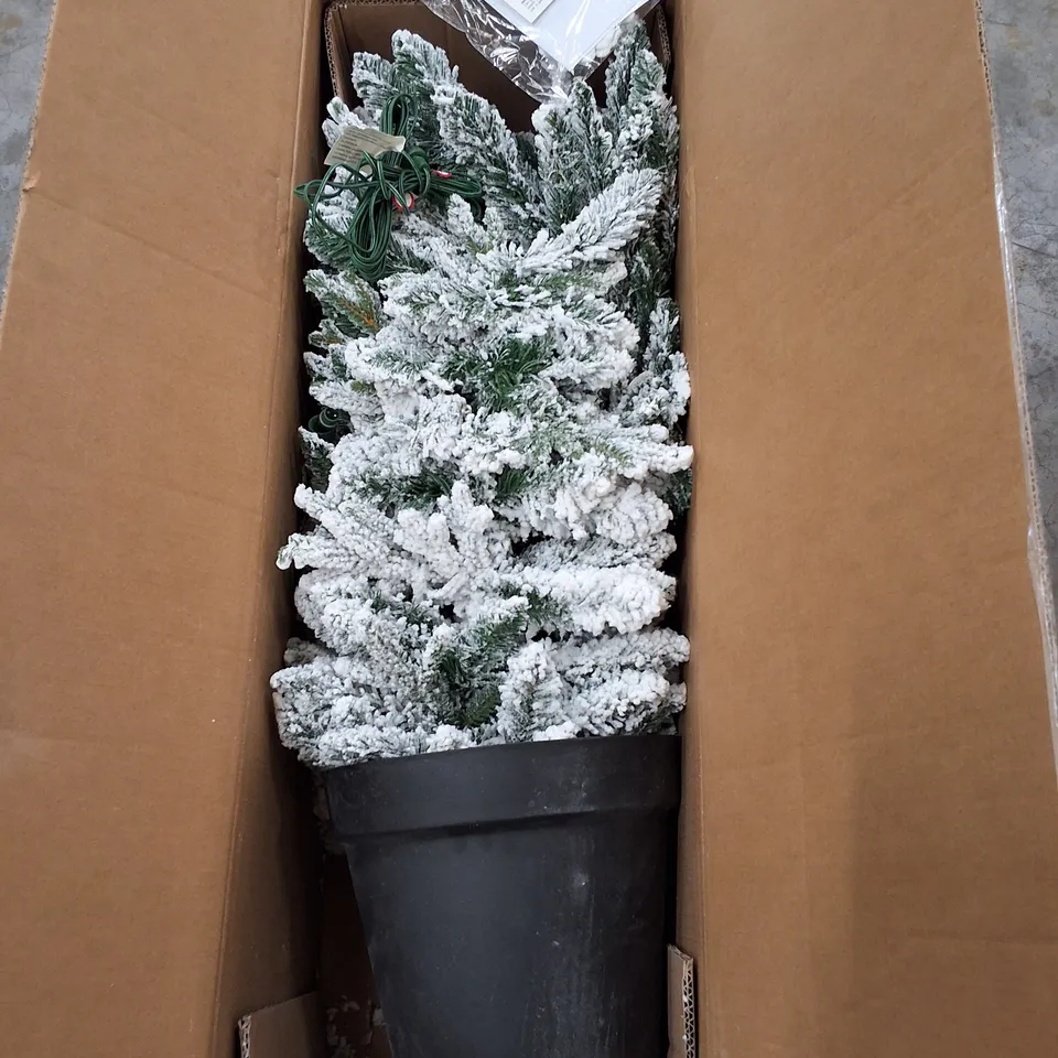 BOXED PRE-LIT SEASONAL TREE WITH FROSTING IN POT