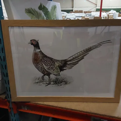 BAGGED RING-NECKED PHEASANT BY VON WRIGHT