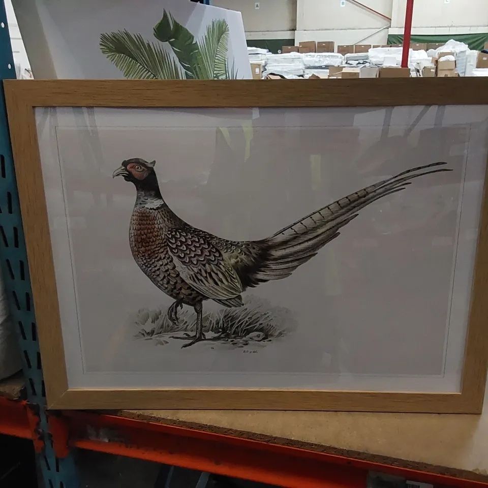 BAGGED RING-NECKED PHEASANT BY VON WRIGHT 