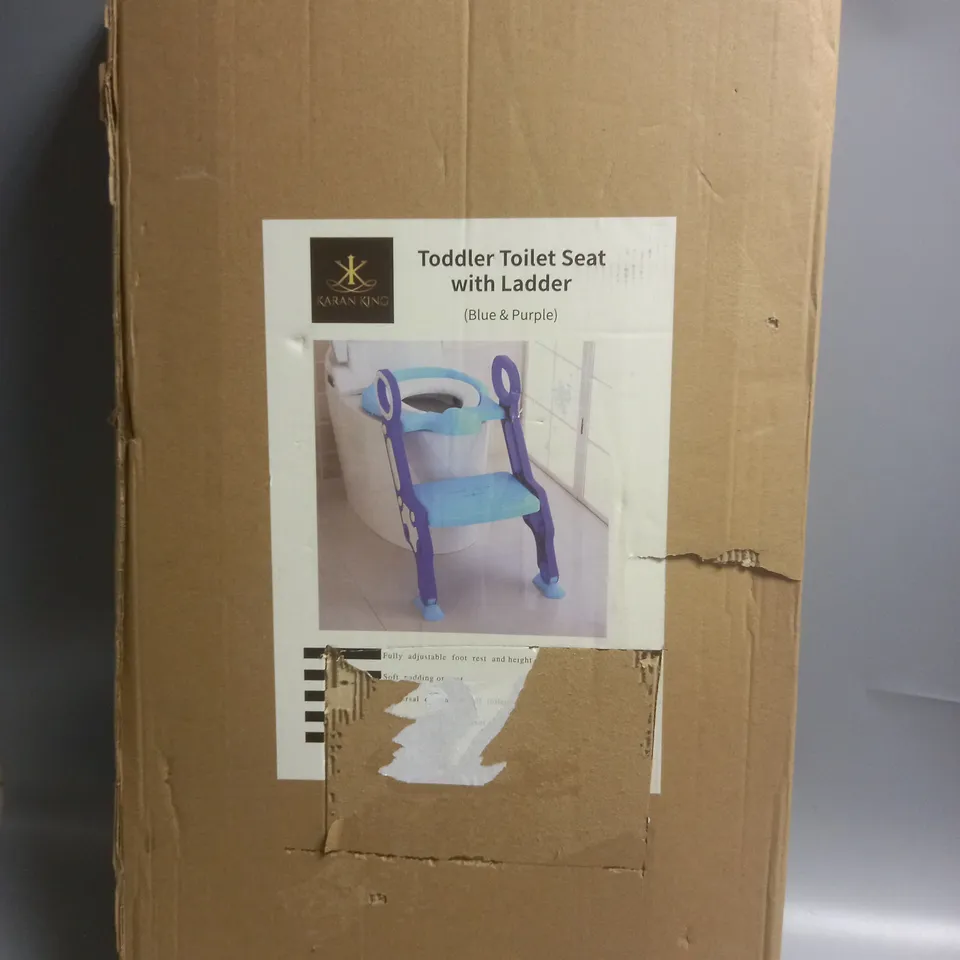 BOXED TODDLER TOILET SEAT WITH LADDER