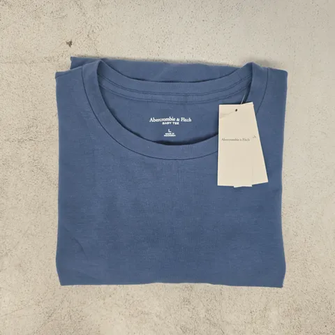 ABERCROMBIE & FITCH BABY TEE - SHORT SLEEVE T-SHIRT IN BLUE SIZE LARGE