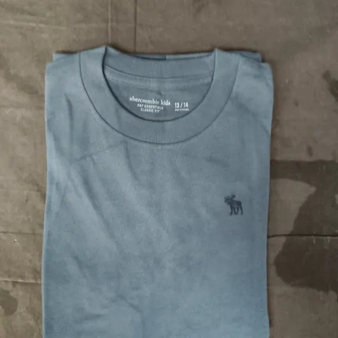 ABERCROMBIE KIDS CLASSIC FIT T-SHIRT IN BLUE SIZE 13/14 YEARS