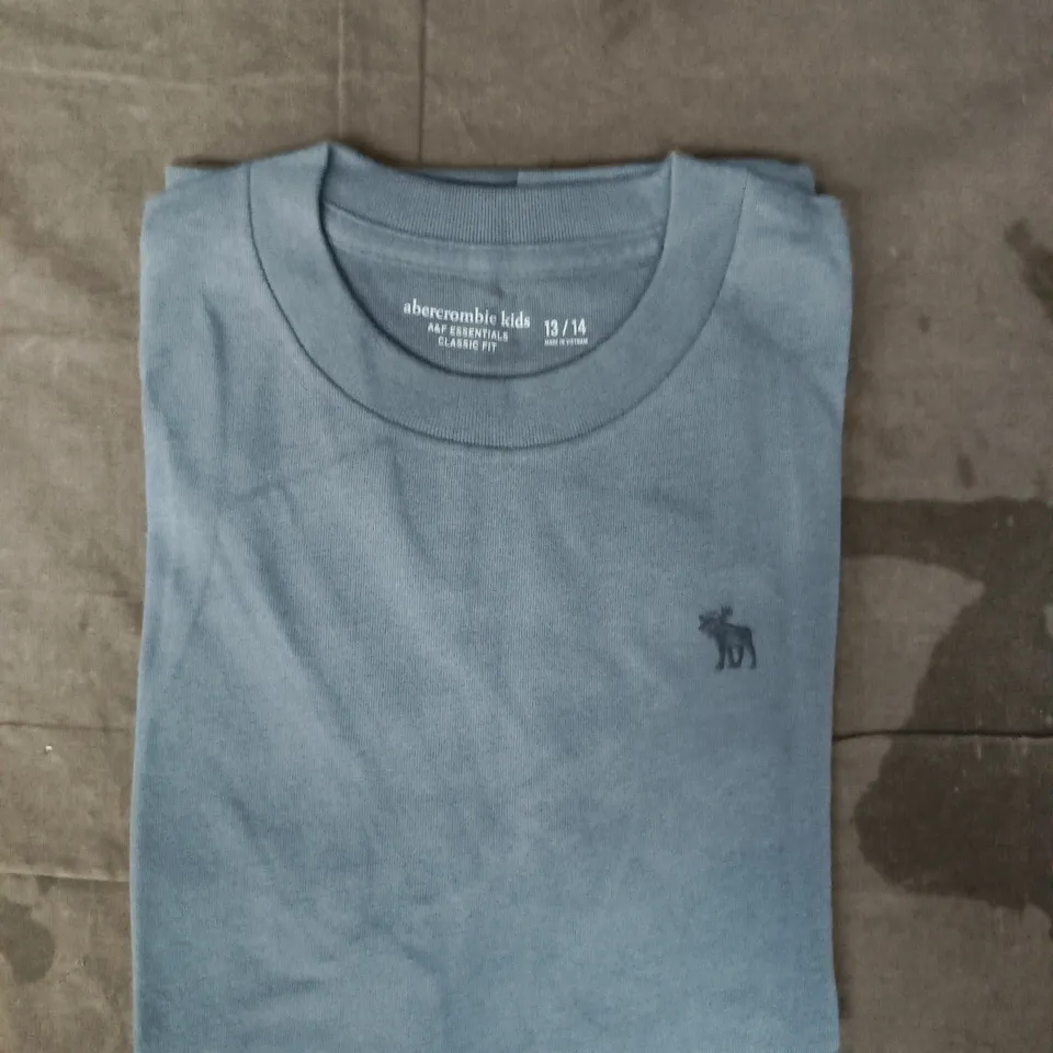 ABERCROMBIE KIDS CLASSIC FIT T-SHIRT IN BLUE SIZE 13/14 YEARS