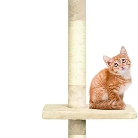BOXED CA&T ULTIMATE FLOOR TO CEILING CAT CLIMBER & SCRATCHER - WHITE (1 BOX)
