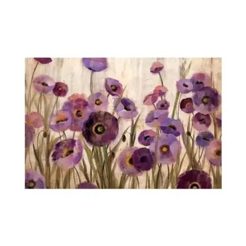 BOXED SILVIA VASSILEVA WRAPPED CANVAS PRINT (1 BOX)