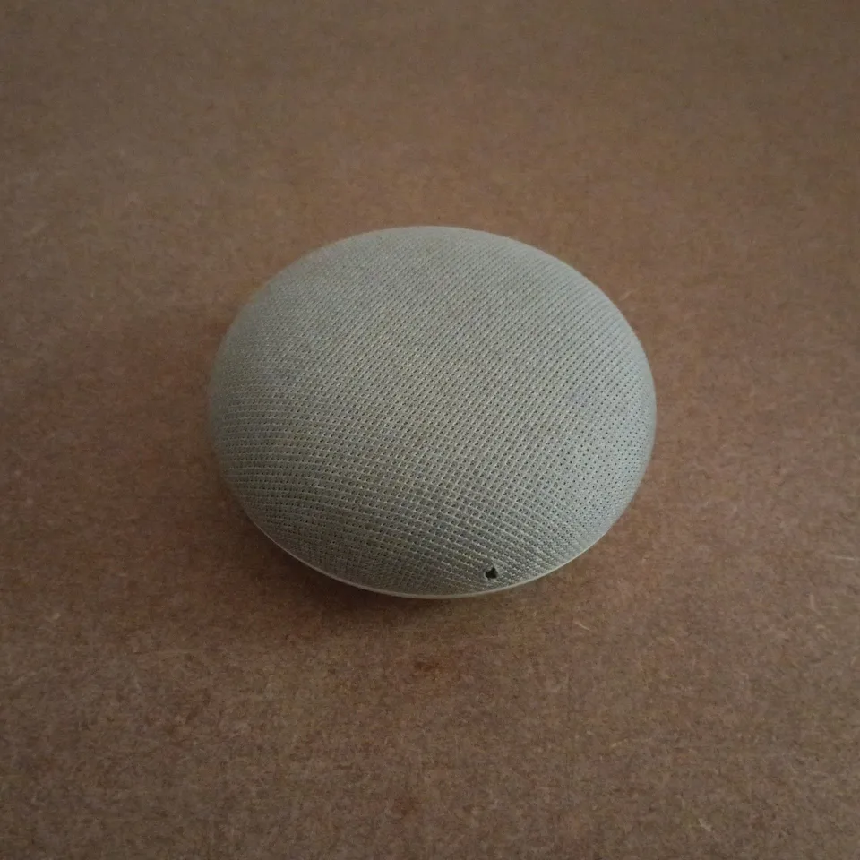 GOOGLE HOME MINI