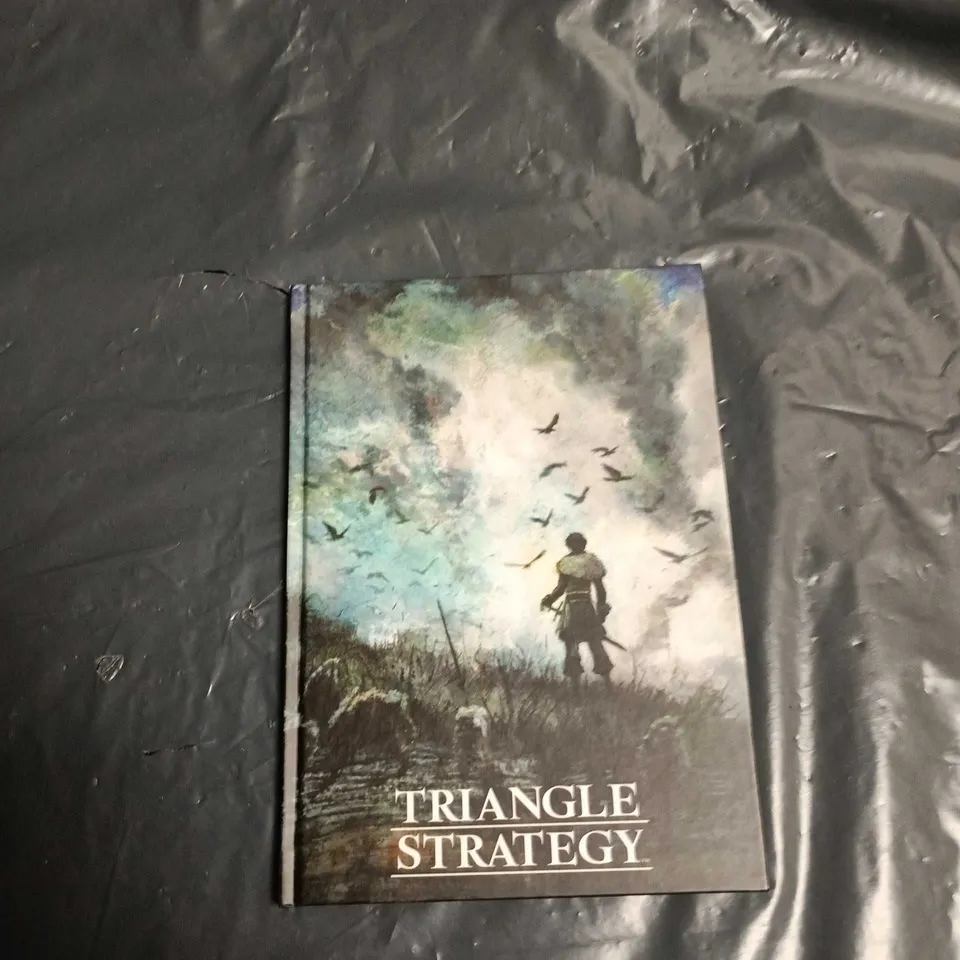 BOX OF MIXED PRODUCTS INCLUDING: NINTENDO POSTERS, WIRE HOLDERS AND NINTENDO BOOKS