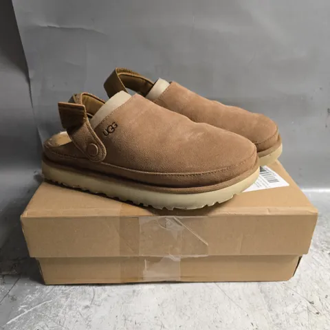 BOXED UGG GOLDENSTAR CLOG - CHESTNUT - UK 7