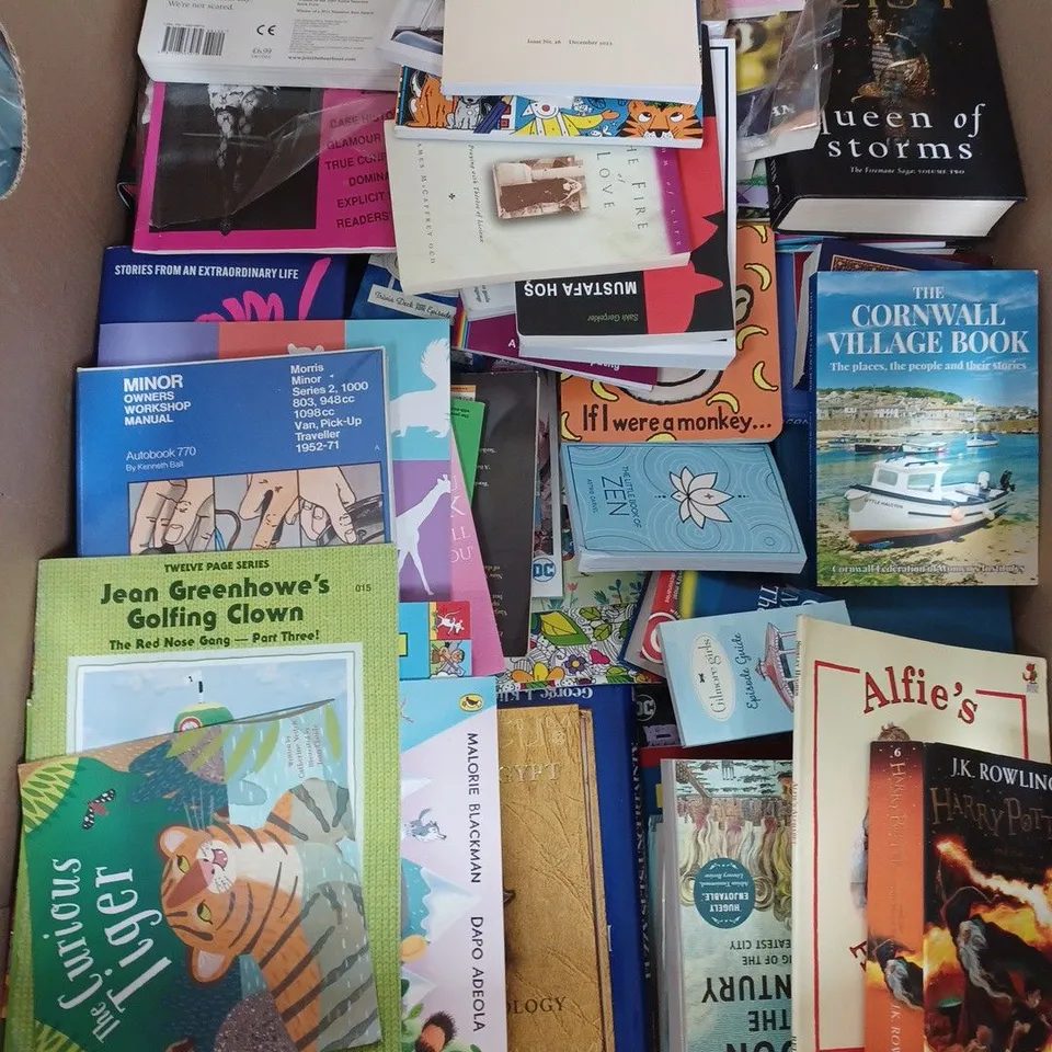 LARGE QUANTITY OF ASSORTED BOOKS TO INCLUDE EVERYDAY SEXISM, QUEEN OF STORMS BY RAYMOND DEIST AND MULTIPLE RELIGIOUS AND MALCOLM THE WEAVER BOOKS