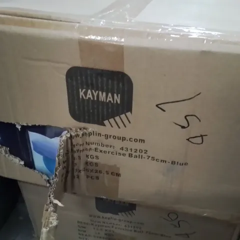 BOXED KAYMAN EXERCISE BALL BLUE 12PCS
