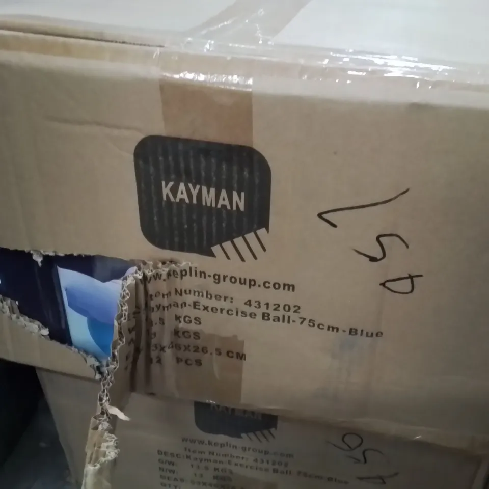 BOXED KAYMAN EXERCISE BALL BLUE 12PCS