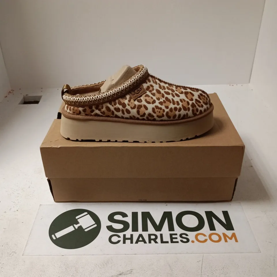 BOXED PAIR OF UGG W TAZZ PLAINS SHOES - UK 7