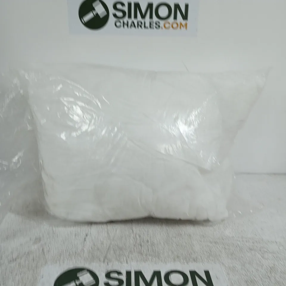 BAGGED PAIR OF CUSHION IN WHITE