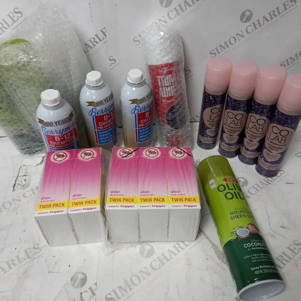 APPROIMATELY 12 HAIR AND HOUSHOLD ITEMS INCLUDING CO LAB DRY SHAMPOO AND BERRYMAN B-12 CHEMTOOL FUEL INJECTOR CLEANER