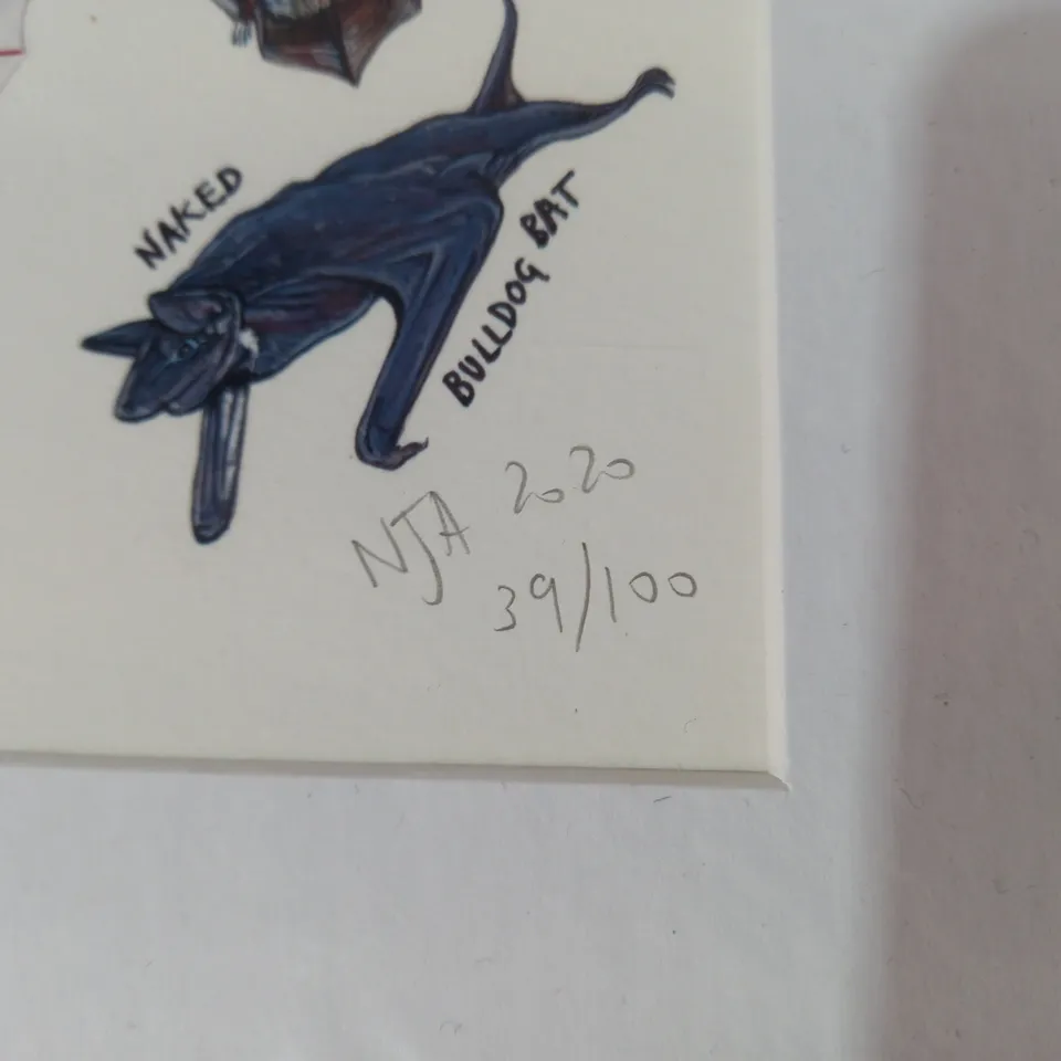 LIMITED EDITION COOLEST BATS OF THE WORLD VOLUME 1 PAINTING - NAOMI JOY ART (2020) 39/100