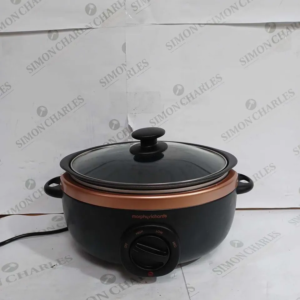 MORPHY RICHARDS SEAR AND STEW SLOW COOKER