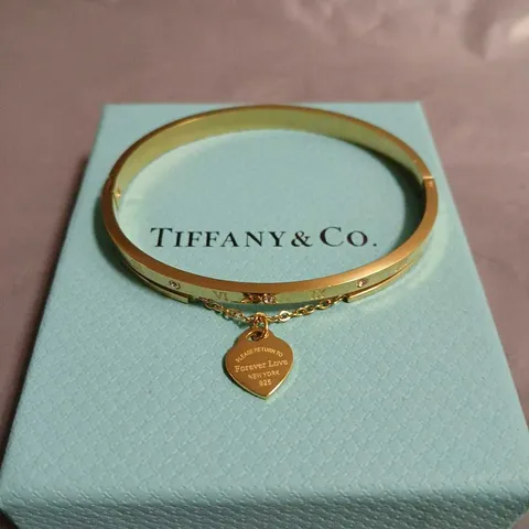 BOXED TIFFANY & CO GOLDEN CLIP BRACELET 