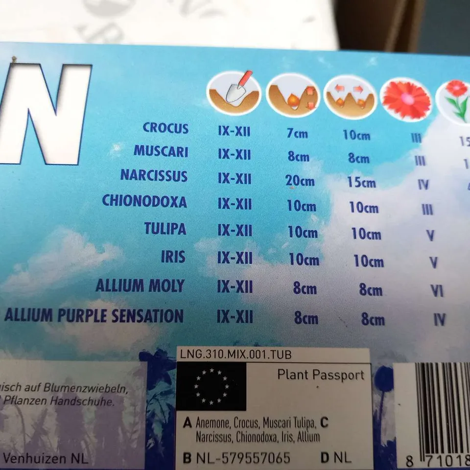 APPROXIMATELY 8 BOXED 1MSQ FLOWERBULBS EACH BOX CONSISTING 101 BULBS TO INCLUDE; ALLIUM, IRIS, CHIONDOXA, TULIPA, NARCISSUS, MUSCARI AND CROCUS