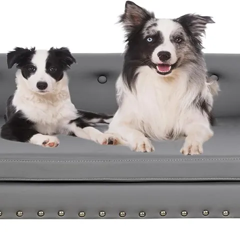 BOXED BINGOPAW ELEVATED EXTRA LARGE LUXURY LEATHER DOG SOFA COUCH