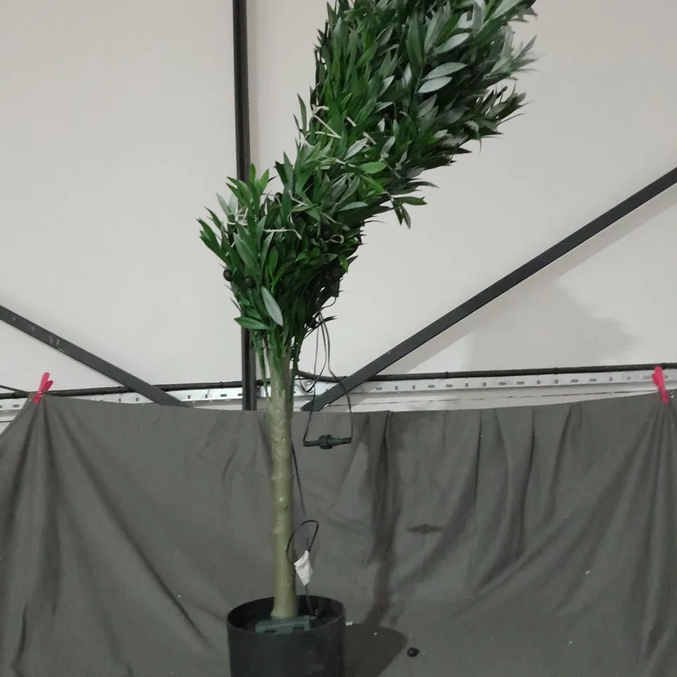 MY GARDEN STORIES BUSHY LED OLIVE TREE