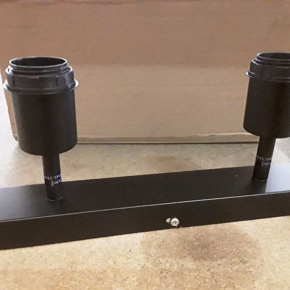 BOXED 2 LIGHT CEILING MOUNT 
