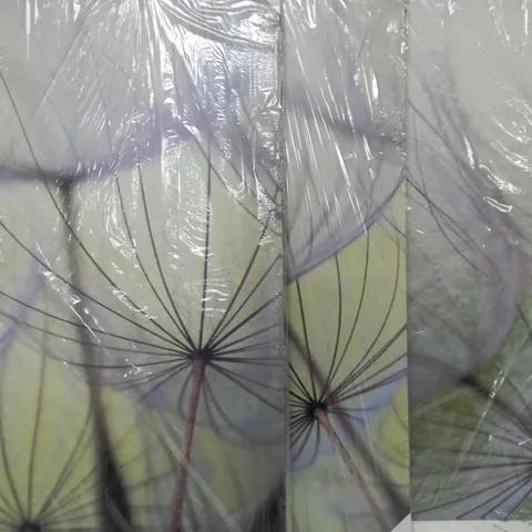 BOXED URBAN DESIGNS DANDELION 3 PIECE PHOTOGRAPHIC PRINT WRAPPED ON CANVAS 90X160CM