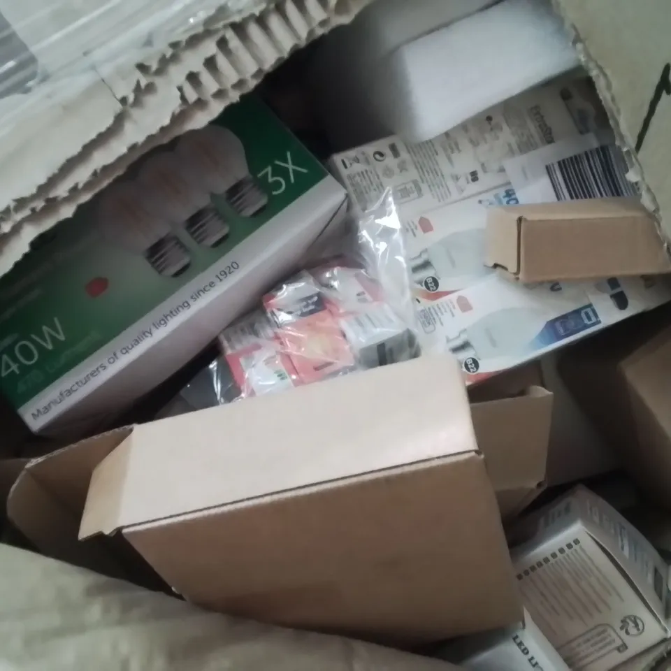 PALLET CONTAINING A LARGE QUANTITY OF BULBS 