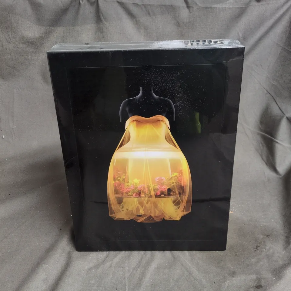 SEALED SLEEPING BEAUTIES: REAWAKENING FASHION BOOK 