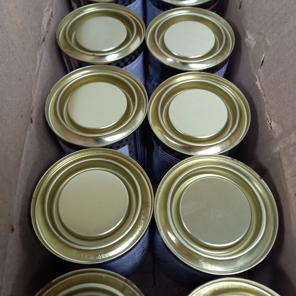 BOX OF 24 COLOUR IT WHITE MATT QUICK DRYING PAINT 