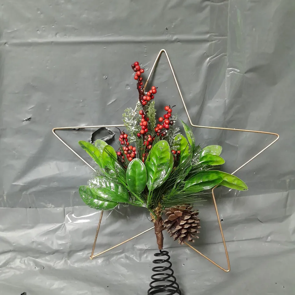 STAR WITH FOLIAGE CHRISTMAS TREE TOPPER RRP £15.99