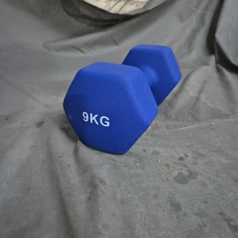 blue neoprene-coated hex dumbbell, 9 kg each