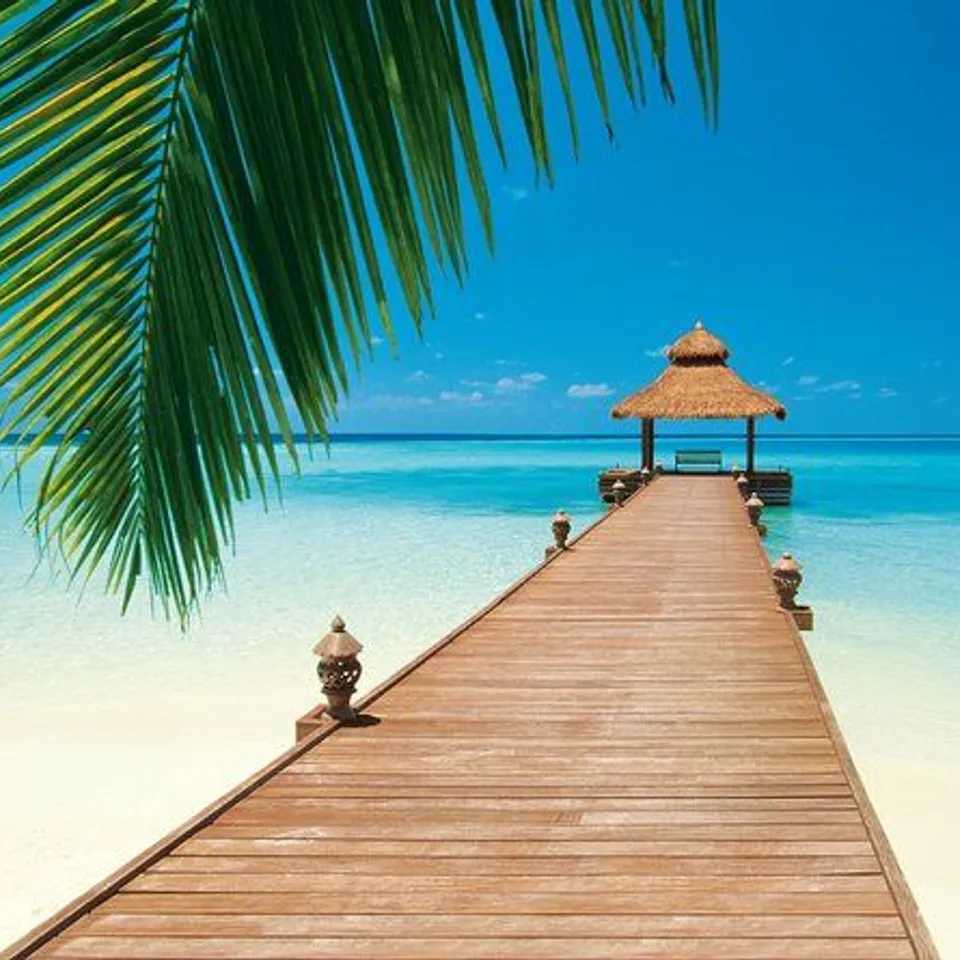 PARADISE BEACH WALL MURAL