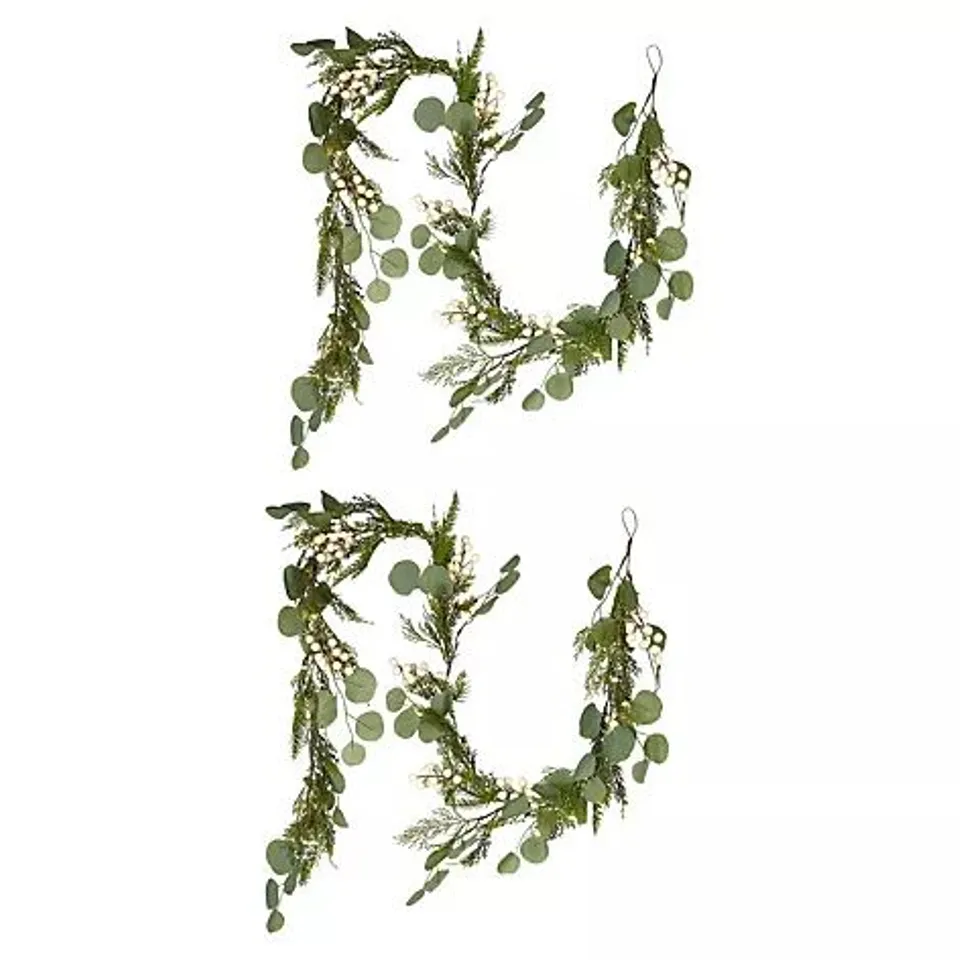 SARA BY SARA DAVIES PRE LIT EUCALYPTUS LIGHT STRAND SET OF 2