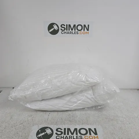 2 WHITE PILLOWS IN PLASTIC PACKAGING 