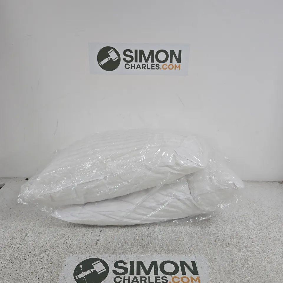 2 WHITE PILLOWS IN PLASTIC PACKAGING
