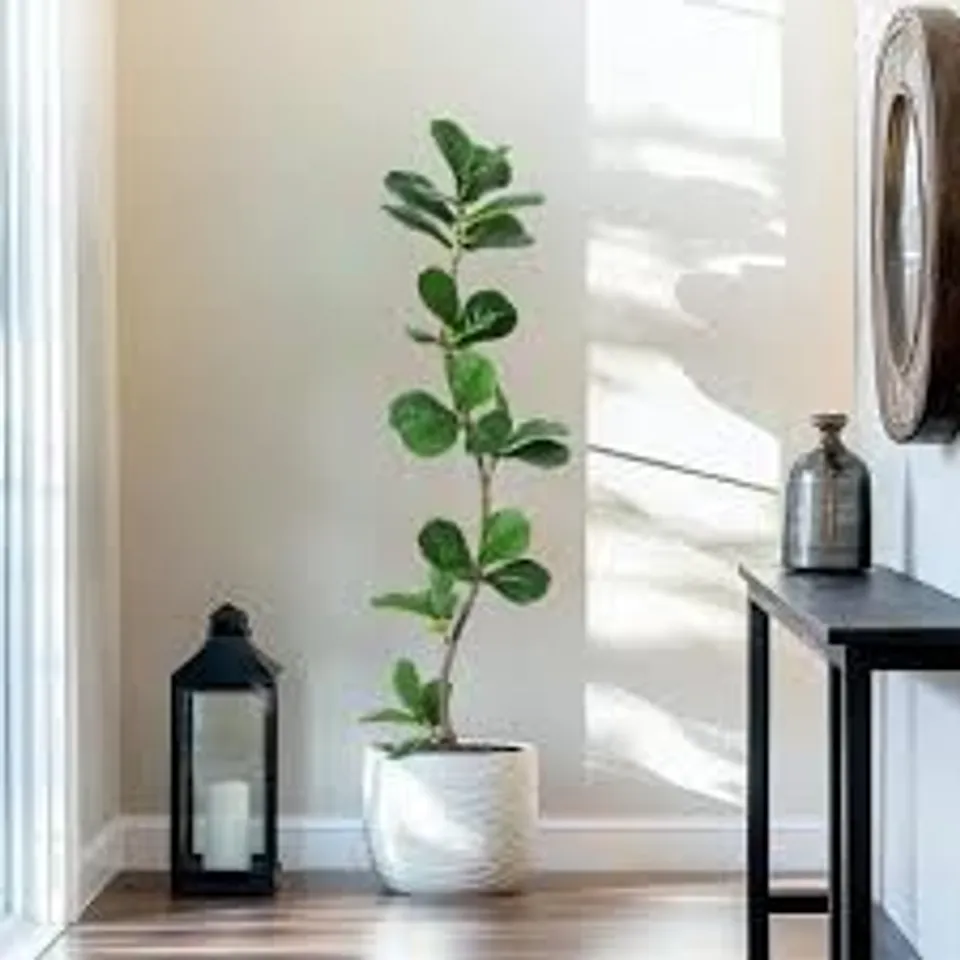 BOXED GARVEE 1.5 M (5 FT) ARTIFICIAL FIDDLE LEAF FIG TREE IN BLACK PLASTIC POT
