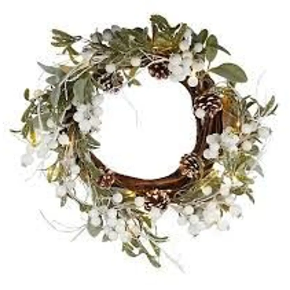 SARA BY SARA DAVIES PRE LIT 50CM FROSTED MISTLETOE PINECONE