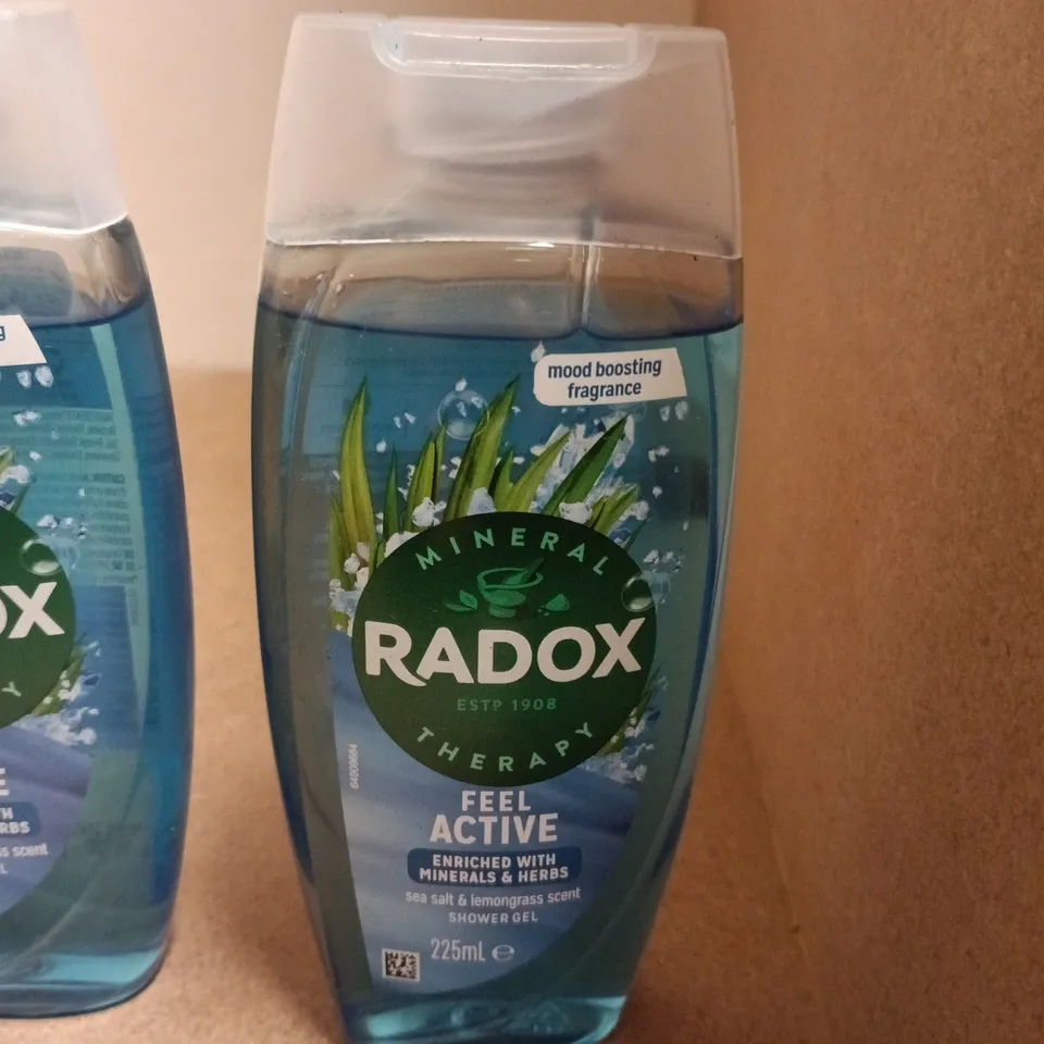 RADOX MINERAL THERAPY FEEL AWAKE SHOWER GEL 225ML – MOOD BOOSTING FRAGRANCE (SET OF 5 BOTTLES)