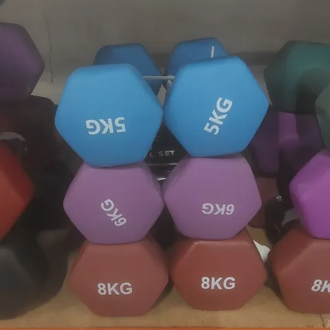 SET OF 6 KAYMAN DUMBBELLS - COLOURS VARY // 2 X 5KG, 6KG, 8KG